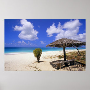 Poster Plage de Coco Point, Barbuda, Antigua
