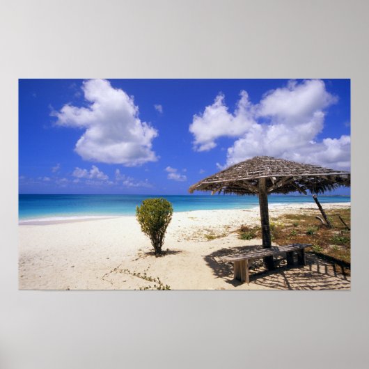 Poster Plage de Coco Point, Barbuda, Antigua (Devant)