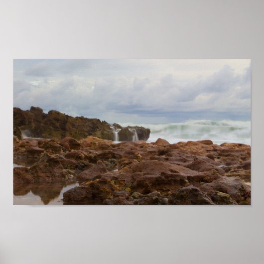 Poster Plage de Coral Cove Park, Floride (Devant)