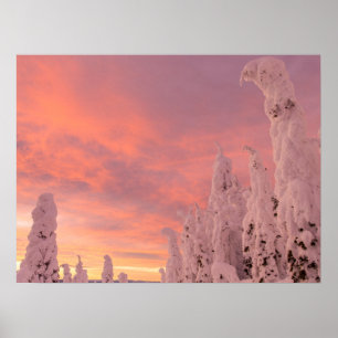 Poster Plage de corégones Corégone, Montana