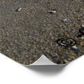 Poster Plage de Corpus Christi (Coin)