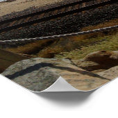 Poster Plage de Del Mar par RZB (Coin)