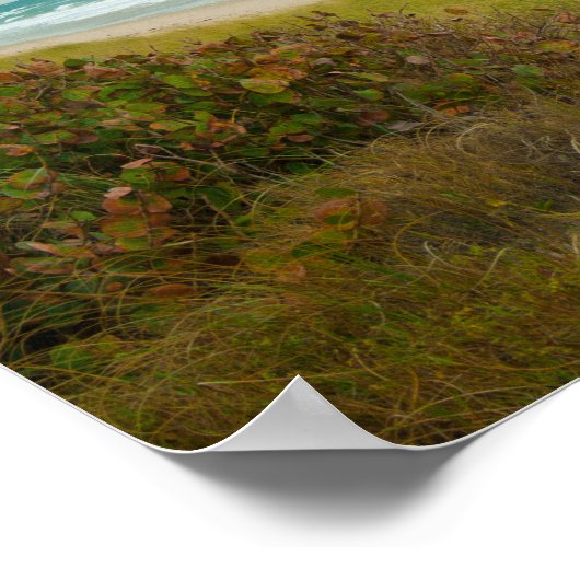 Poster Plage de Floride de l'océan Atlantique (Coin)