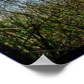 Poster Plage de Longboat (Coin)