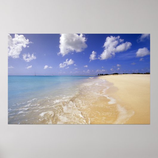 Poster Plage de Low Bay, Barbuda, Antigua (Devant)