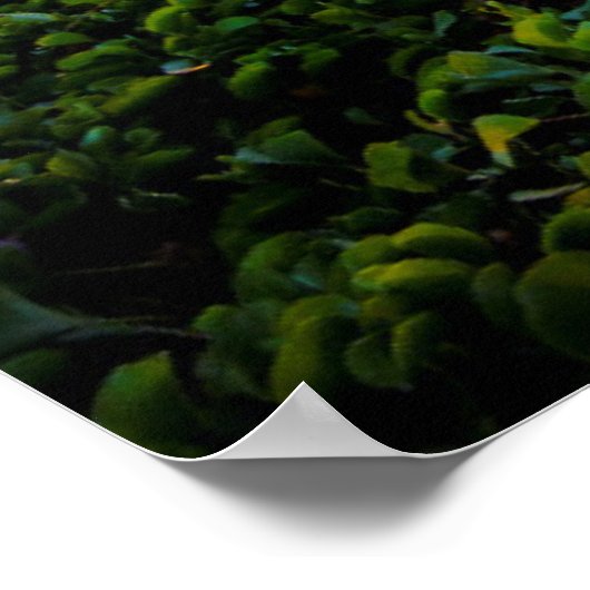 Poster Plage de Maui Sud au coucher du soleil | Maui, Haw (Coin)