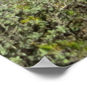 Poster Plage de Navagio, Zakynthos, Grèce (Coin)