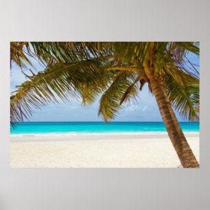 Poster Plage de Palm