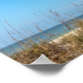 Poster Plage de palmiers de Floride (Coin)