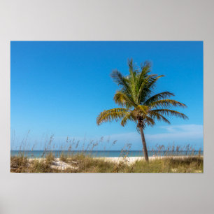 Poster Plage de palmiers de Floride