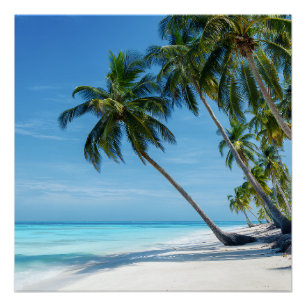 Poster Plage de palmiers exotiques eau turquoise paradis