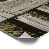 Poster Plage de Panama City (Coin)