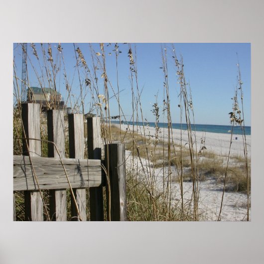 Poster Plage de Panama City (Devant)