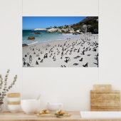 Poster Plage de Penguins Boulders | Afrique du Sud (Cuisine)