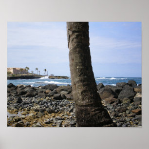 Poster Plage de Porto Rico par RZB