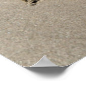 Poster Plage De Sable (Coin)