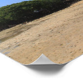 Poster Plage de sable tropicale (Coin)