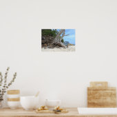 Poster Plage de sable tropicale (Cuisine)