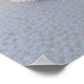 Poster Plage de Seashell Nature paisible (Coin)