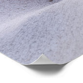 Poster Plage de Seashell Nature paisible (Coin)