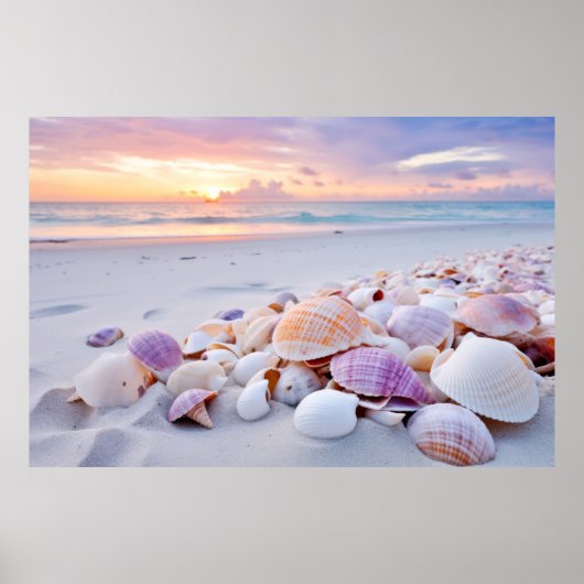 Poster Plage de Seashell Nature paisible (Devant)
