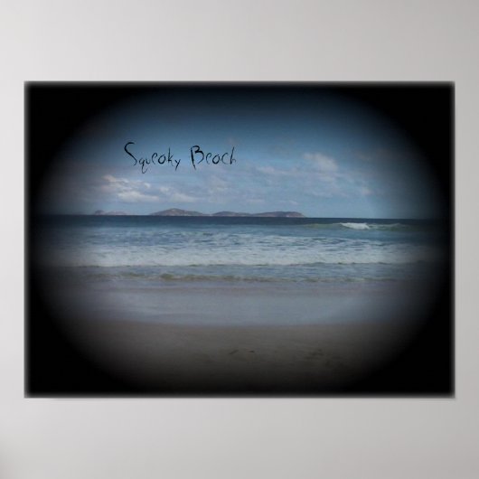 Poster Plage de Squeaky 1 (Devant)