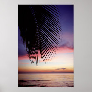Poster Plage de Sunset violet Tropical Palm Tree Silhouet