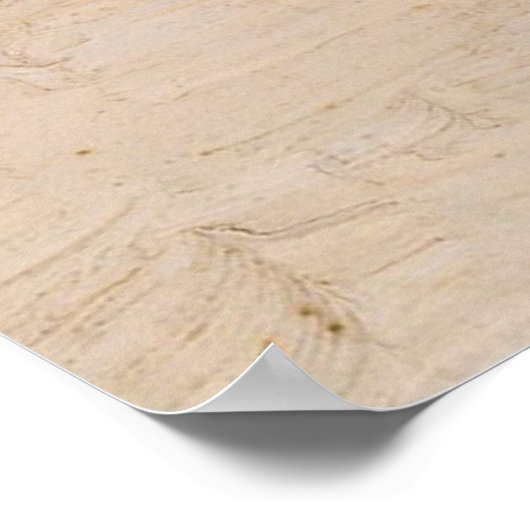 Poster Plage de Tamarama - Elioth Gruner (Coin)