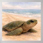 Poster Plage de tortues marines (Devant)