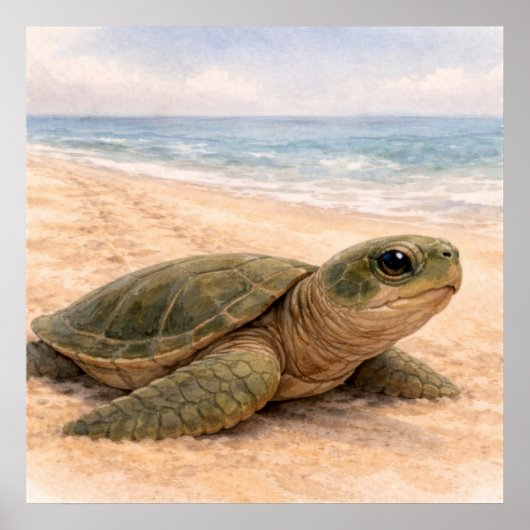 Poster Plage de tortues marines  (Devant)