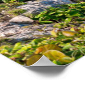 Poster Plage de Tulum (Coin)