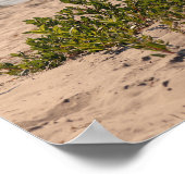 Poster Plage d'Orgeon Inlet (Coin)