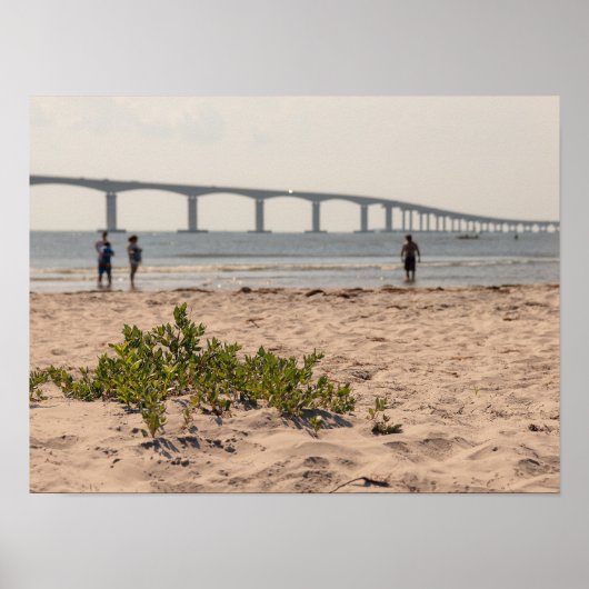 Poster Plage d'Orgeon Inlet (Devant)