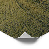 Poster Plage du matin (Coin)