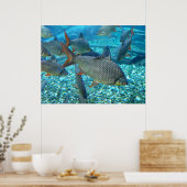 Poster Plage d'un animal de poisson (Cuisine)