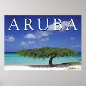Poster Plage Eagle | Caraïbes, Aruba (Devant)