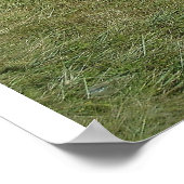 Poster plage en été (Coin)