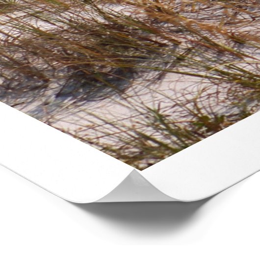 Poster Plage et océan (Coin)