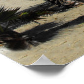 Poster Plage et palmiers à Puerto Banus (Coin)