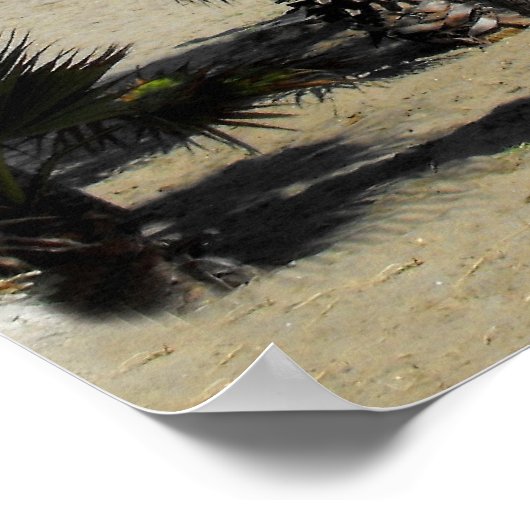 Poster Plage et palmiers à Puerto Banus (Coin)