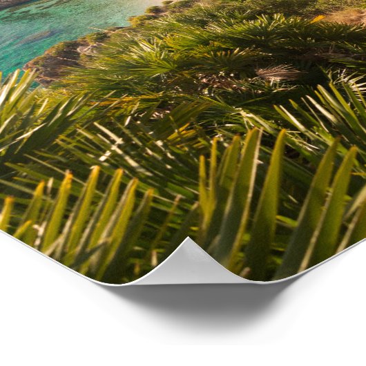 Poster Plage isolée à Lo Zingaro, Sicile (Coin)