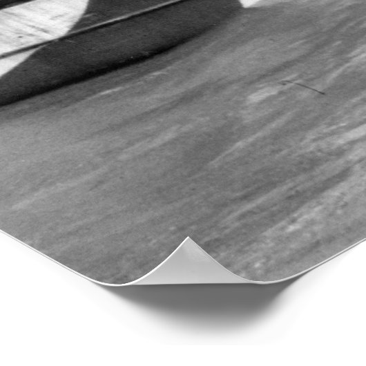 Poster Plage Juno (Coin)