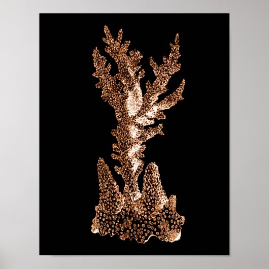 Poster Plage marine côtière corail mer noir (Devant)