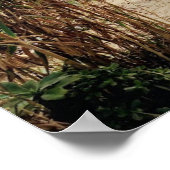 Poster Plage Old Man's Beach - San Onofre State Beach (Coin)