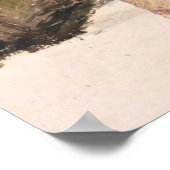 Poster Plage Palmy (Coin)