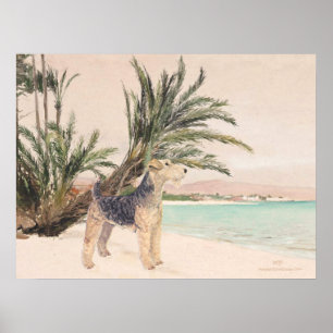 Poster Plage Palmy