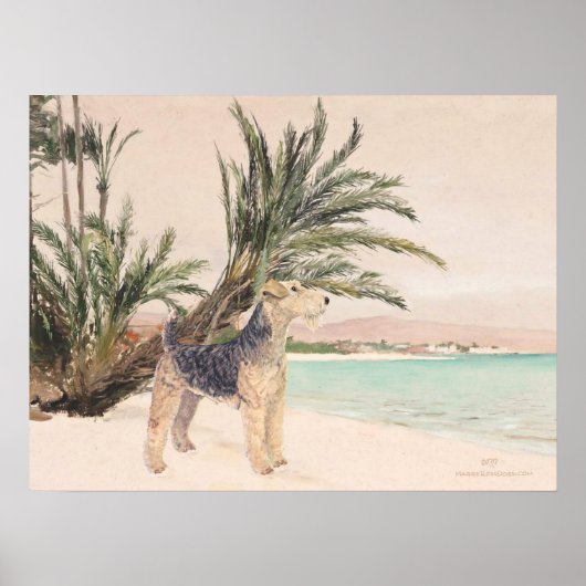 Poster Plage Palmy (Devant)
