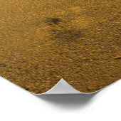 Poster Plage Porto Rico (Coin)