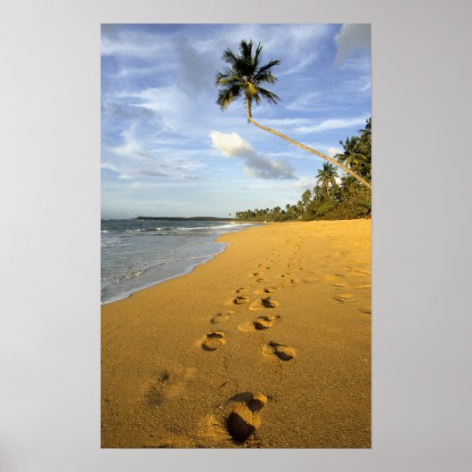 Poster Plage Porto Rico (Devant)