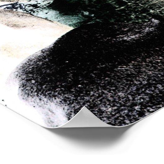 Poster plage rocheuse (Coin)